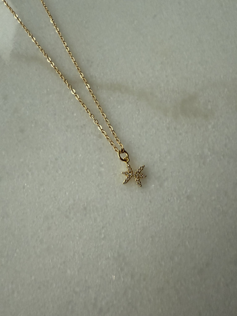 GOLD PLATED ON BRASS HOROSCOPE NECKLACE