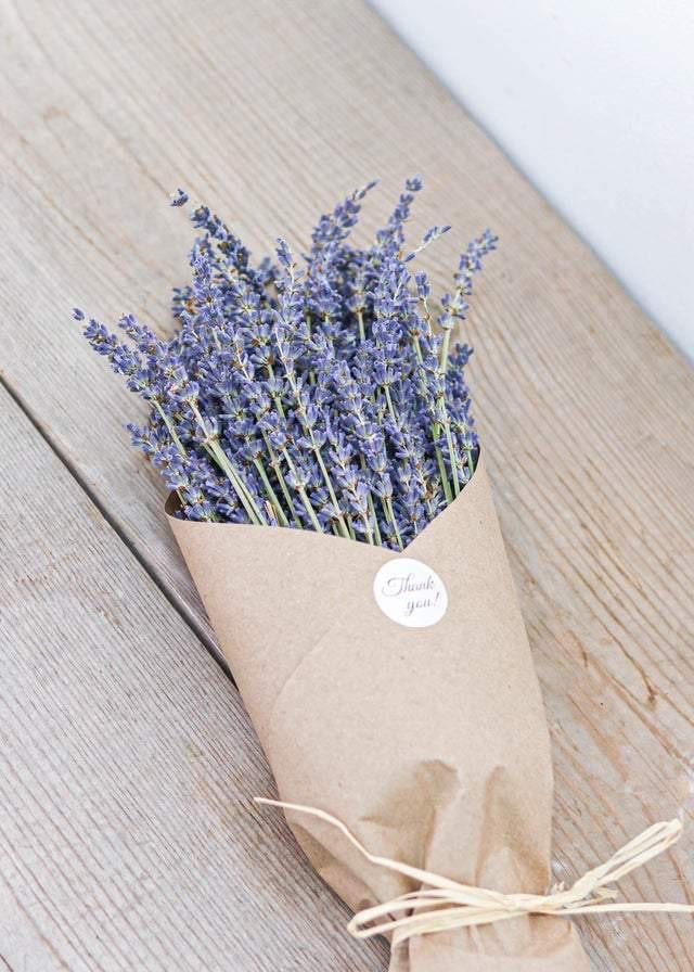 DRIED LAVENDER BUNCHES